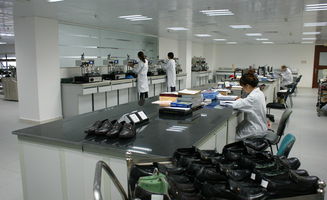 东莞丰信Sedex辅导与房产咨询 权威专业，助力企业合规与资产增值